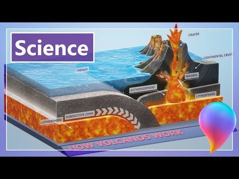 Creative Curriculum | Teaching Science with Paint 3D
