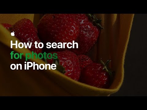 How to search for photos on iPhone — Apple