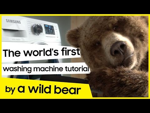 EcoBubble™ Washing Machine: Laundry hacks by a wild bear│Samsung