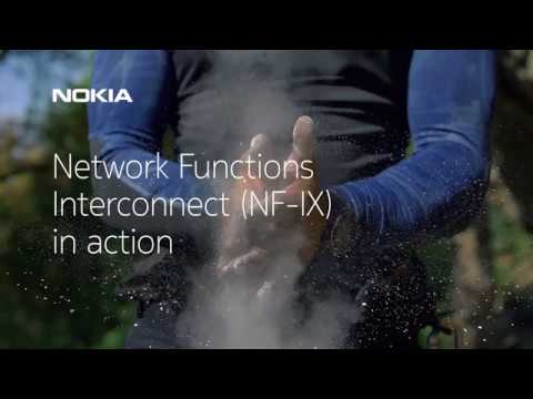 Network Functions Interconnect (NF-IX) in action (extended version)