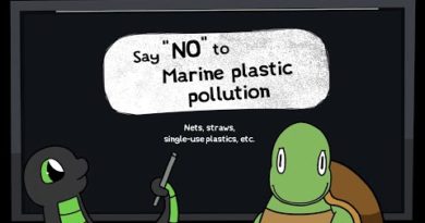 Razer Sneki Snek | Cleaning our Oceans