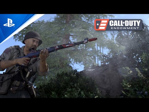 Call of Duty: Vanguard & Warzone – C.O.D.E Timeless Pack | PS5, PS4