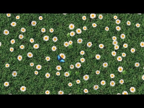 Make every day Earth Day | Samsung