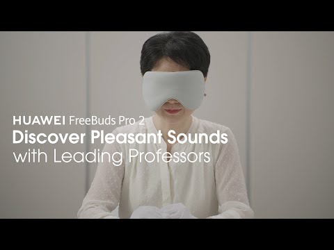 HUAWEI FreeBuds Pro 2 - Discover Pleasant Sounds with Leading Professors