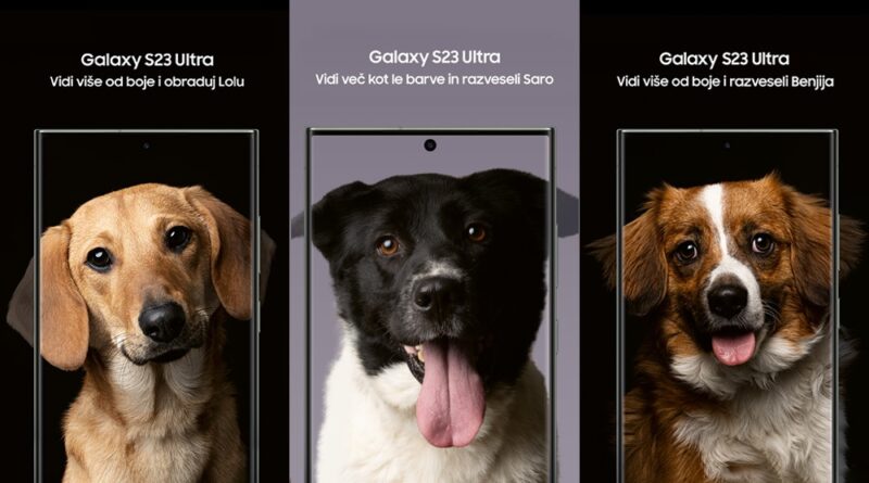 Samsung’s ‘See Beyond Color’ Campaign Helps Shelter Dogs Find Their Forever Homes